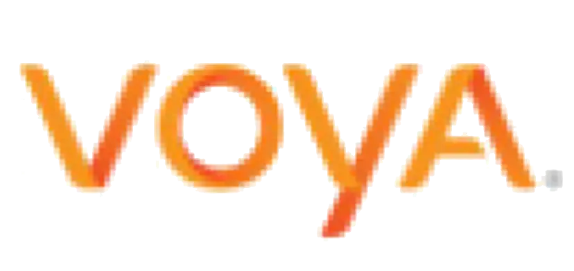 Логотип Voya Brand